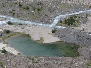 wpid-img_3746.jpg