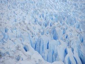 wpid-img_3906.jpg