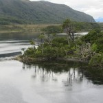wpid-img_3985.jpg