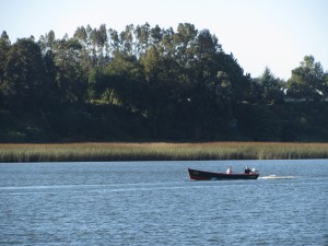 wpid-img_4557.jpg