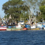 wpid-img_4563.jpg