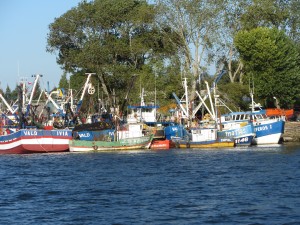 wpid-img_4563.jpg