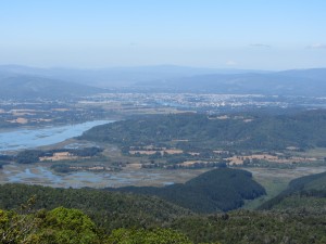 wpid-img_4607.jpg