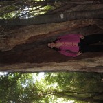 wpid-img_4643.jpg