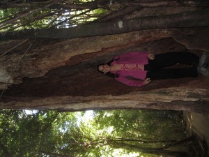 wpid-img_4643.jpg