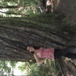 wpid-img_4662.jpg