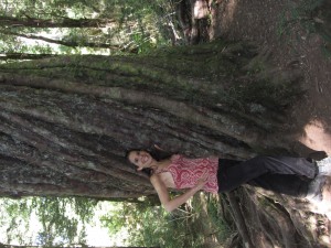 wpid-img_4662.jpg