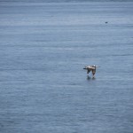 wpid-wp-1423435871734.jpeg