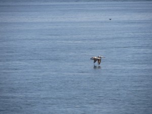 wpid-wp-1423435871734.jpeg